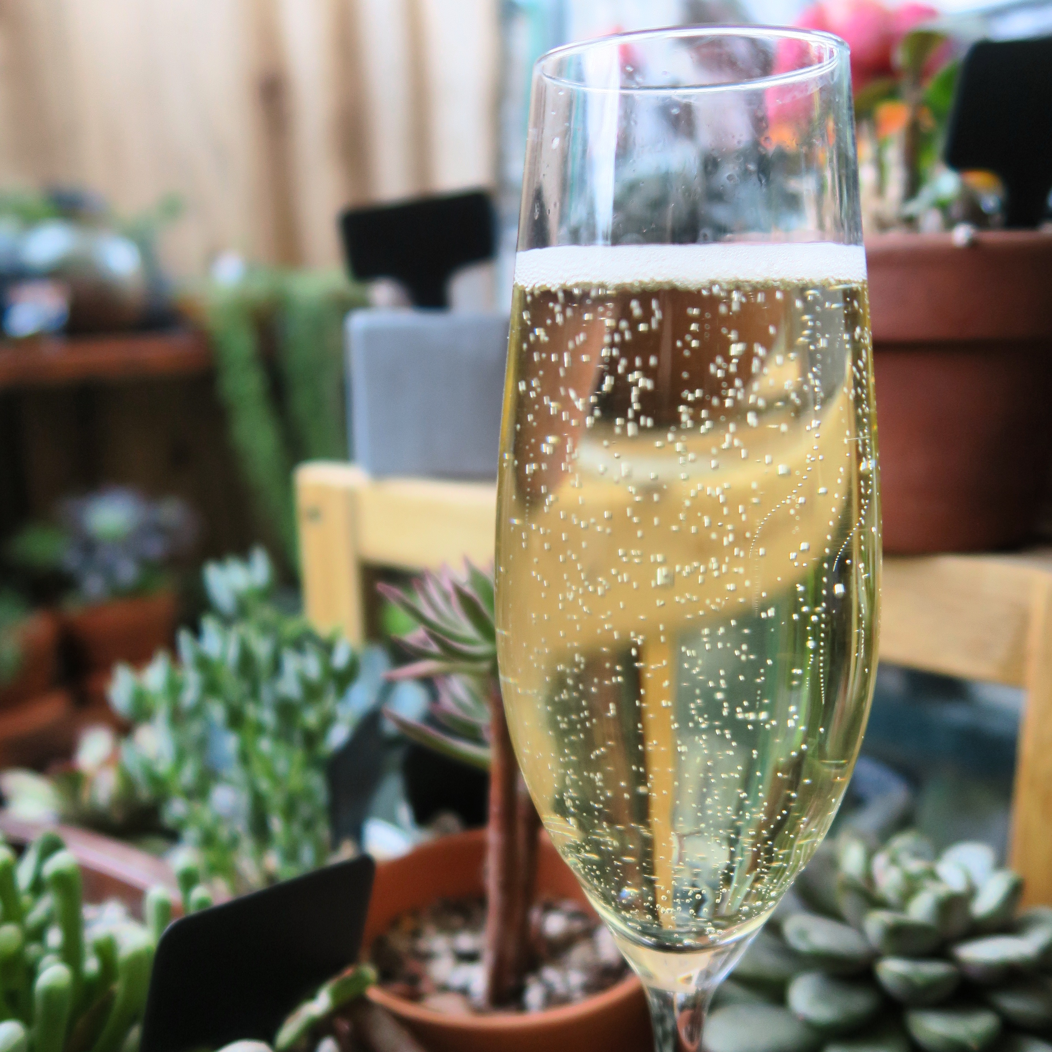 A golden glass of champagne in a garden full of effervescent bubbles. 